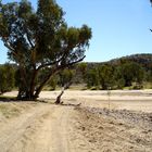 Ross River Creekbed