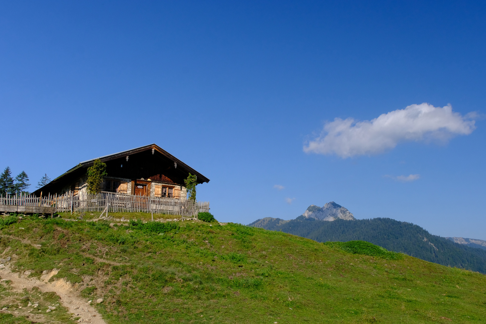 Roß und Buchstein