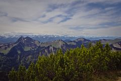 Roß und Buchstein, dahinter noch der Schnee im Hochgebirge