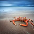 Rossbeigh beach