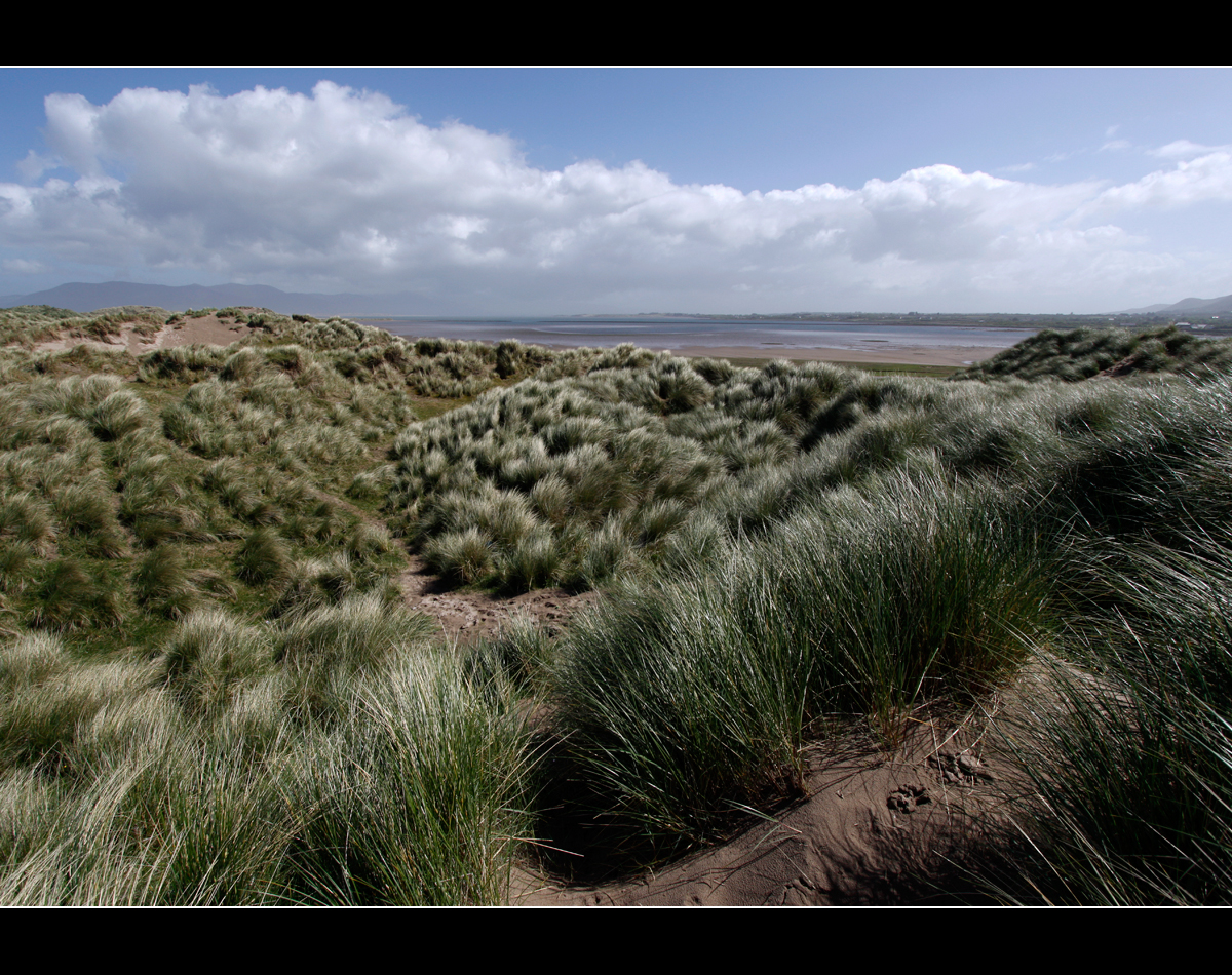 Rossbeigh beach II