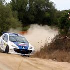 Rossetti su peugeot 207 super 2000 - rally costa smeralda