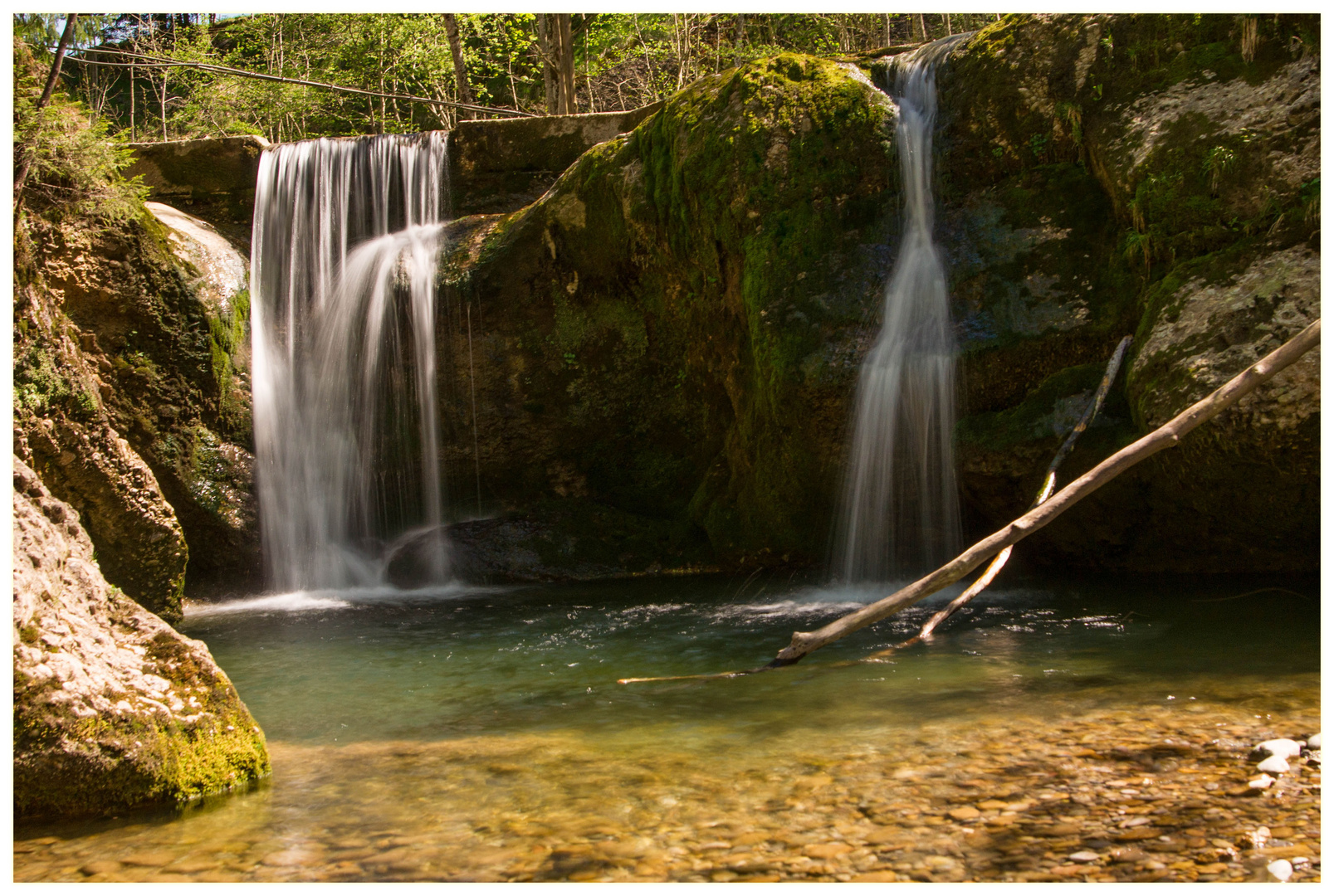 Rossfall im Appenzeller Land