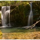 Rossfall im Appenzeller Land