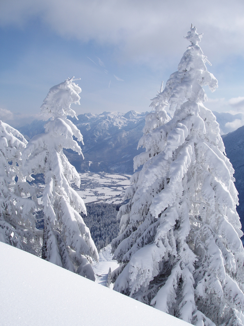 Roßfeld (Berchtesgaden)