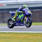 Rossi