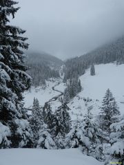 Roßkarbach mit verschneter Waldlandschaft