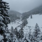 Roßkarbach mit verschneter Waldlandschaft