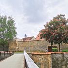 Rosskastanie zwischen Stadtgraben und Stadtmauer