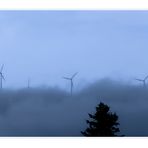 Roßkopf (Breisgau) im Nebel