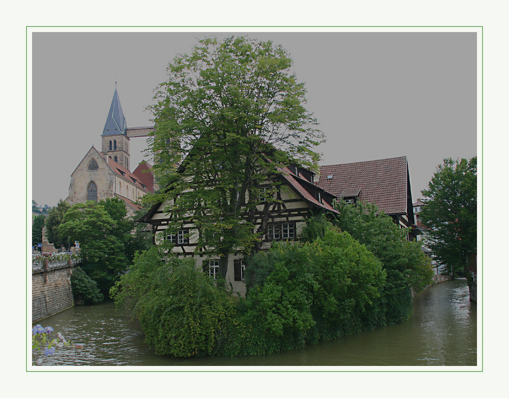 Roßneckarkanal