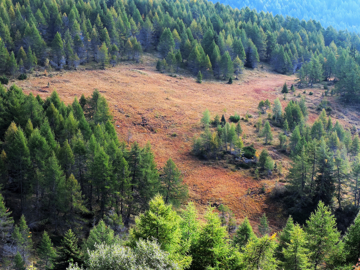 rosso autunnale