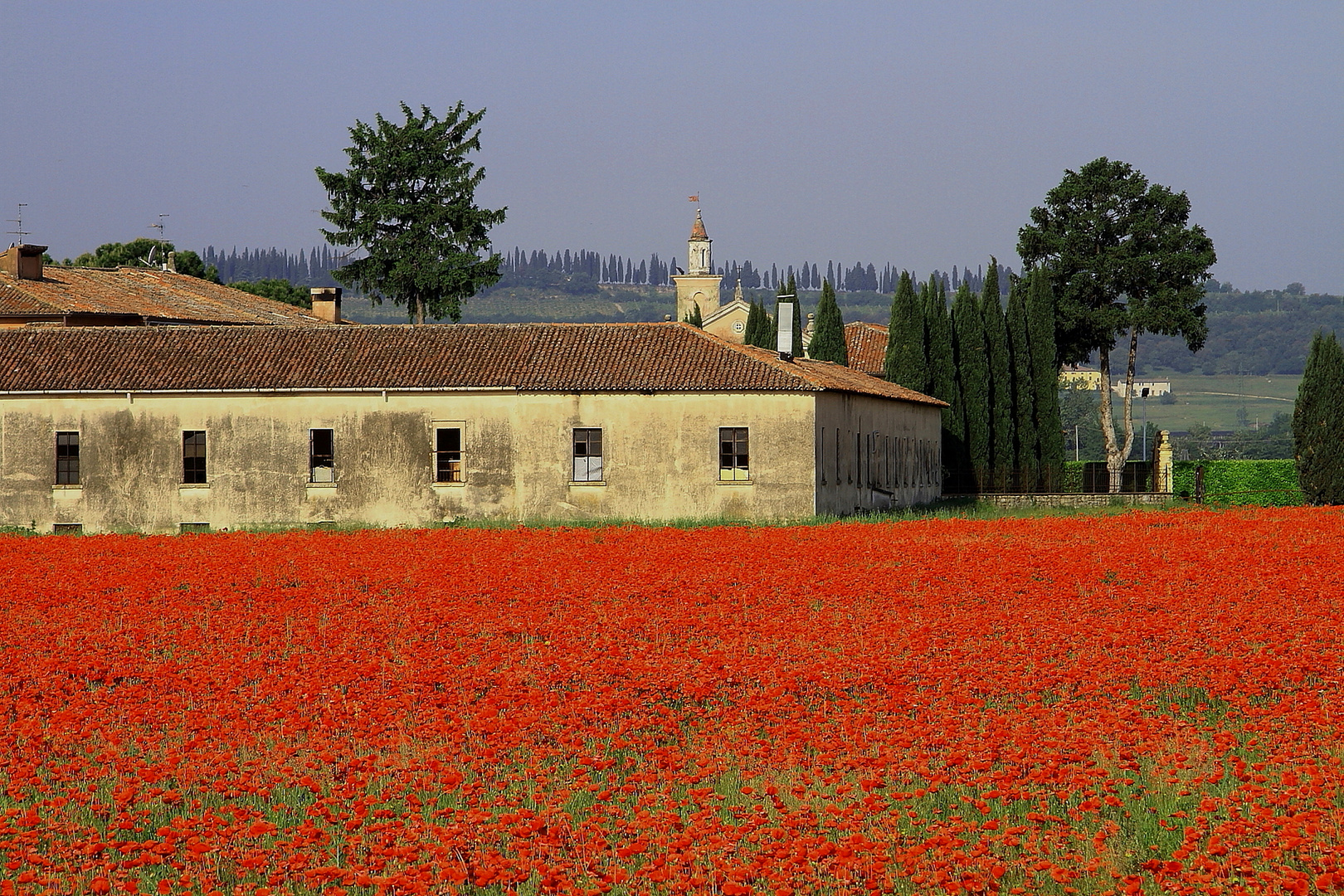 ROSSO COMUNISTA