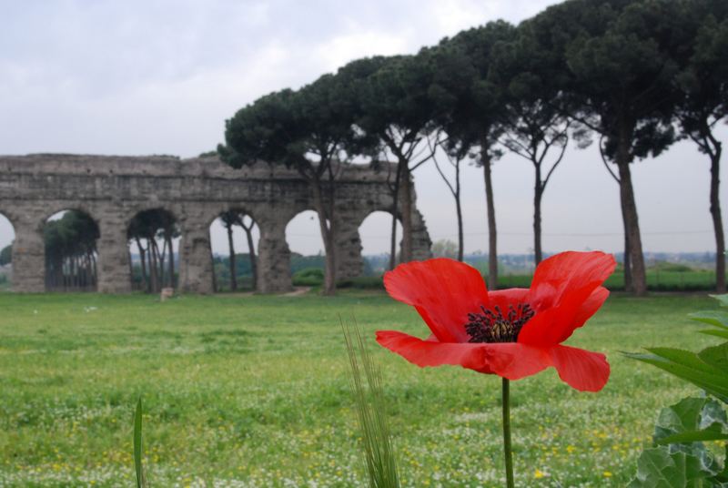 Rosso con un tocco di antico