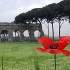 Rosso con un tocco di antico