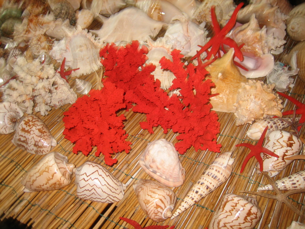 Rosso corallo