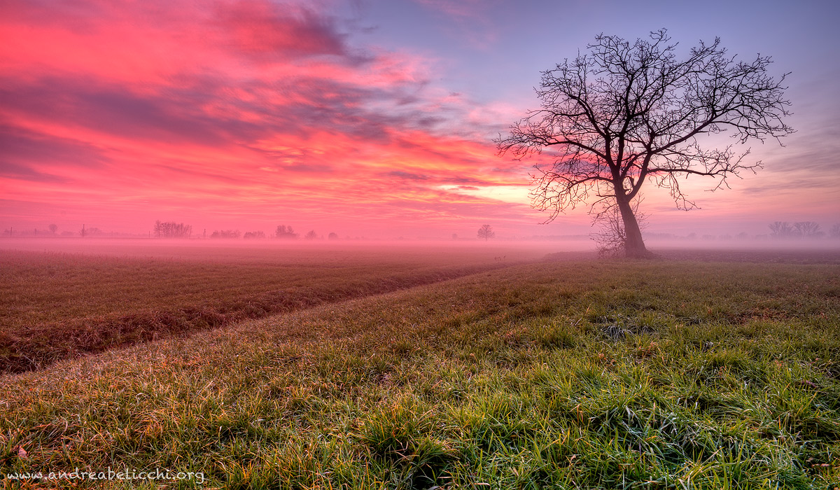 ROSSO DI SERA .........