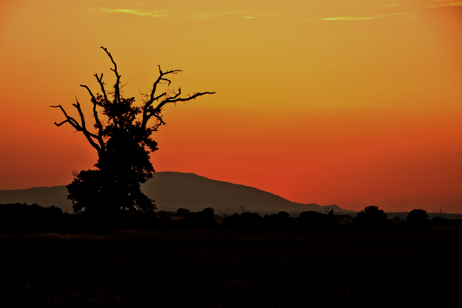 Rosso di sera...