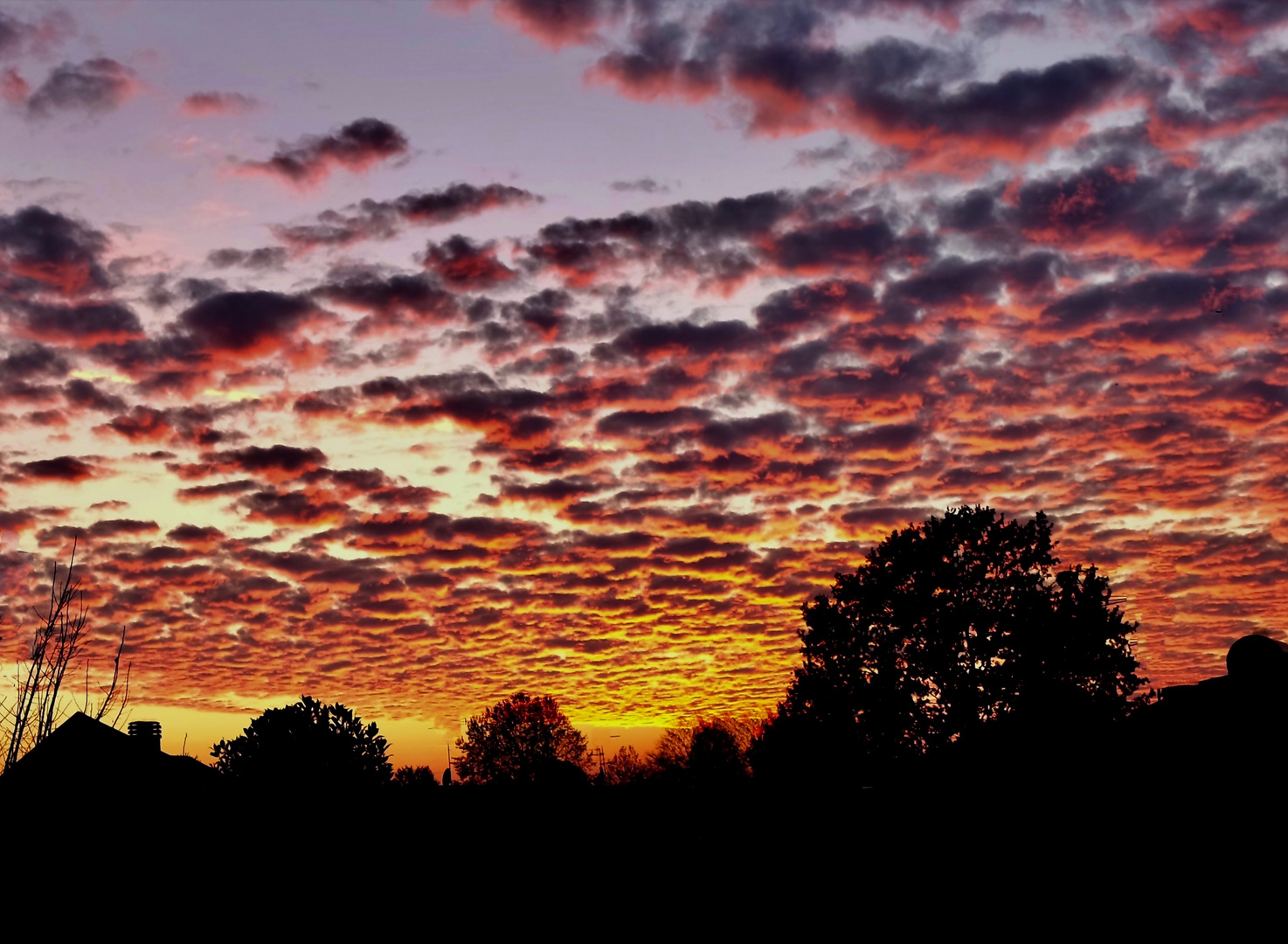 Rosso di sera..