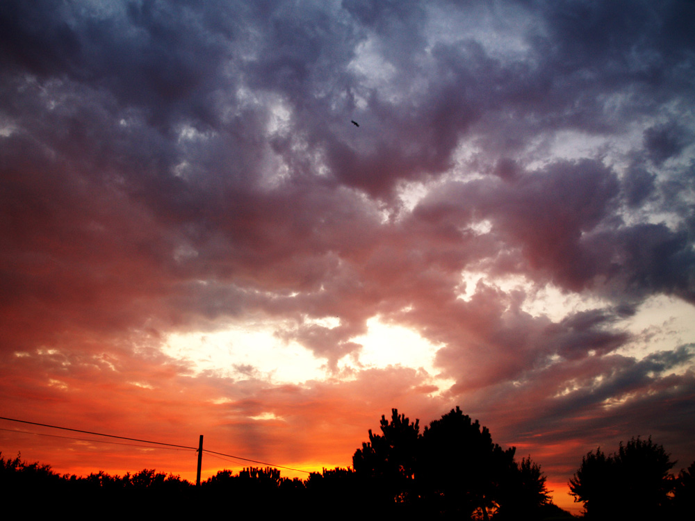 Rosso di sera...