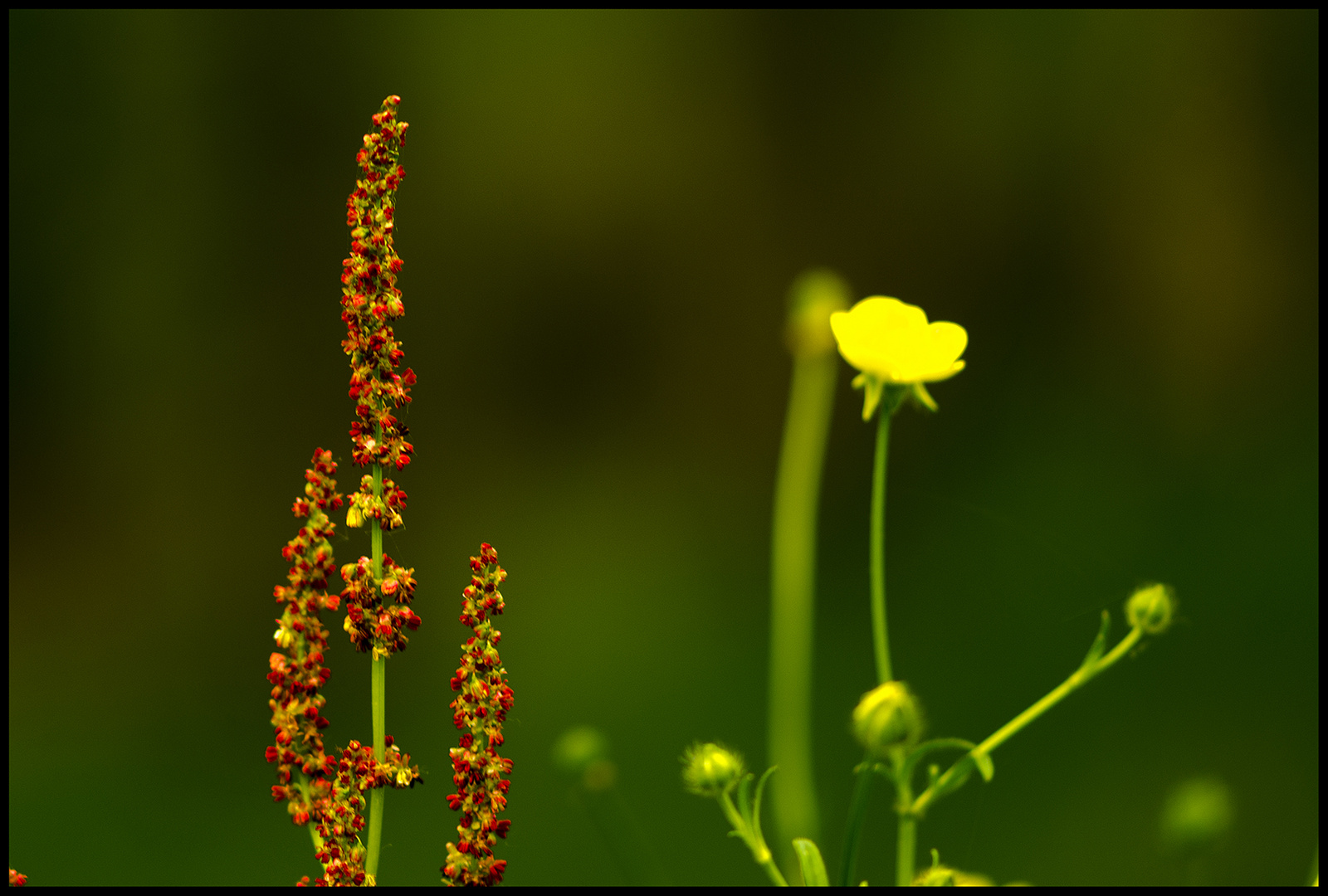 Rosso e giallo