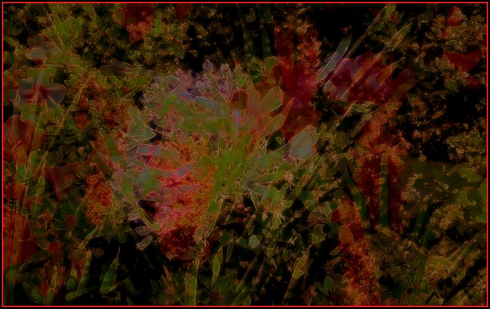 Rosso e verde 2...elaborazione