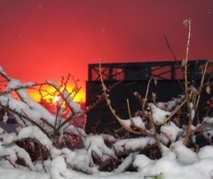 Rosso neve_2