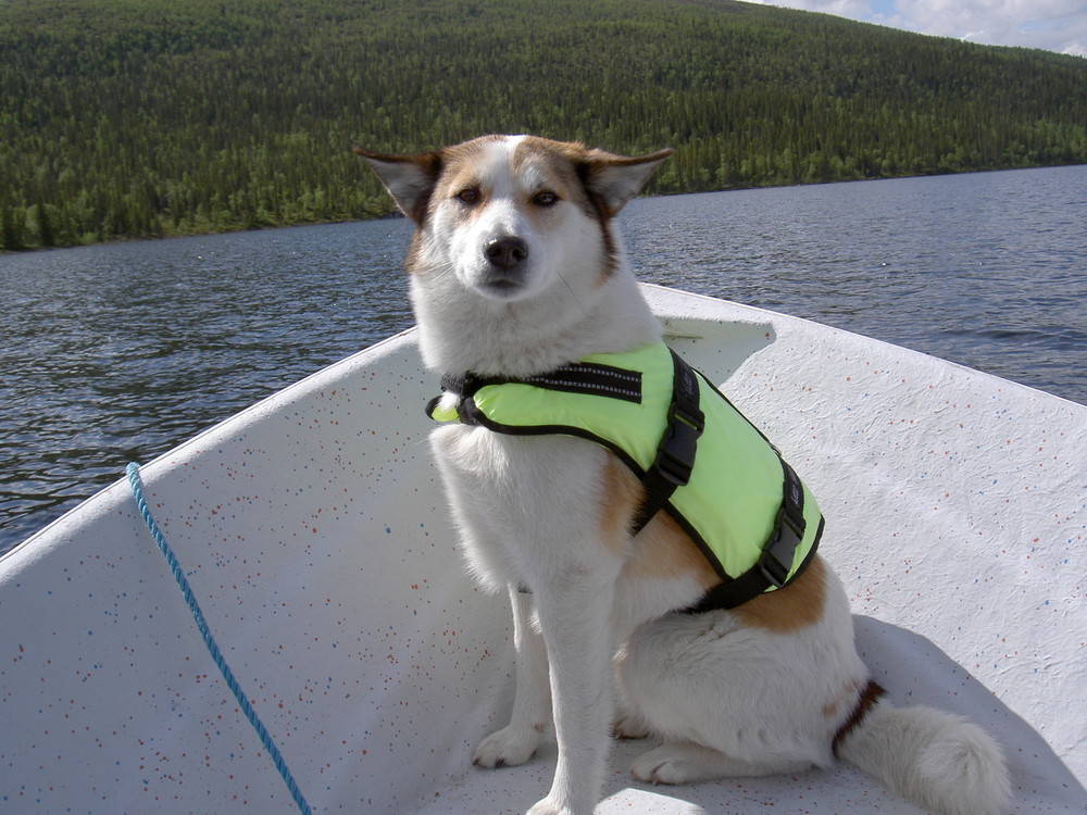 Rosso on a boatride