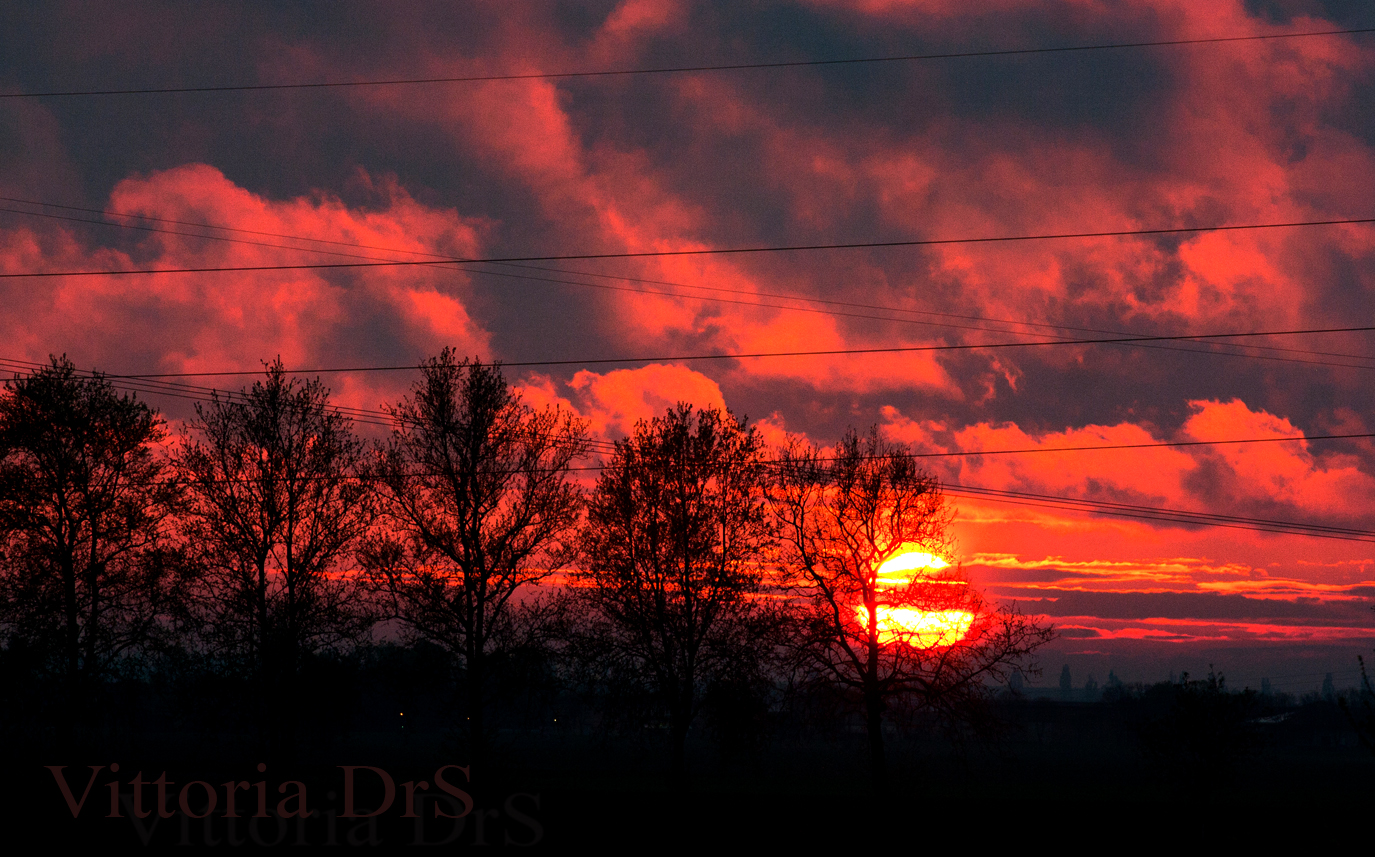 Rosso Padania