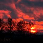 Rosso Padania