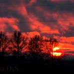 Rosso Padania