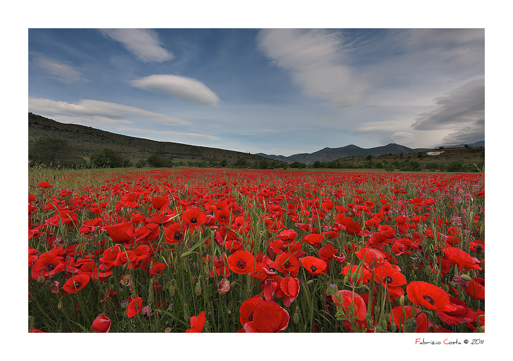 Rosso primaverile