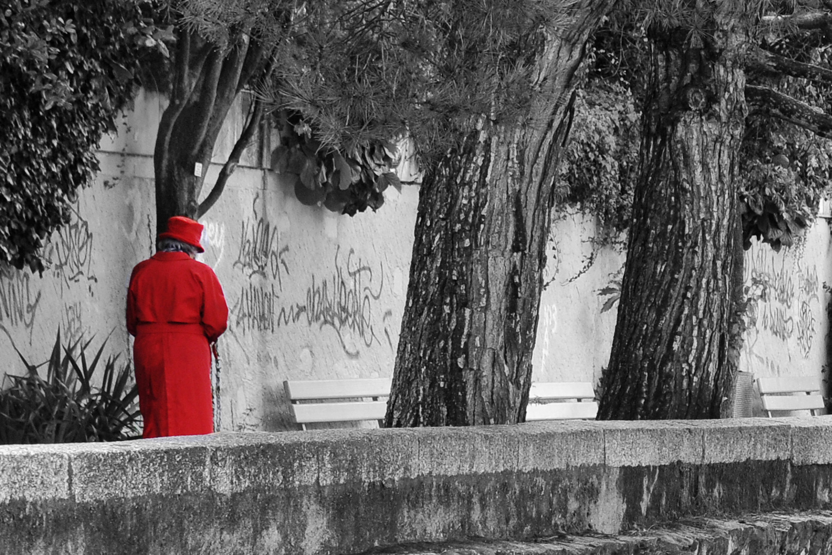 rosso solitario