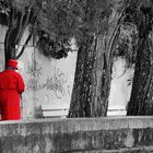 rosso solitario