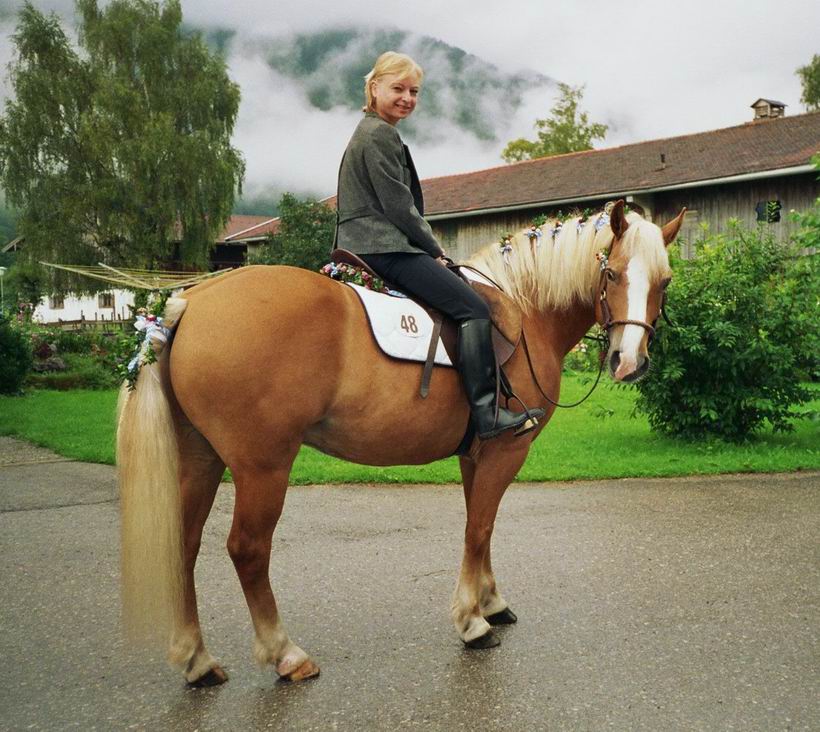 rosstag 2005 in rottach egern