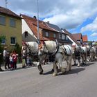 Roßtag Bartholomä 2012