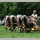 Rosstag Rottach-Egern 2011 - Claus Luber "Römerwagen"