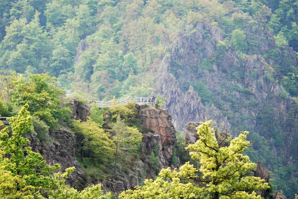 Roßtrappe-Felsen