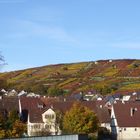 Roßwag an der Enz im Lembergerland