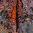 Rost