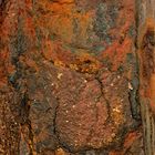 Rost 2