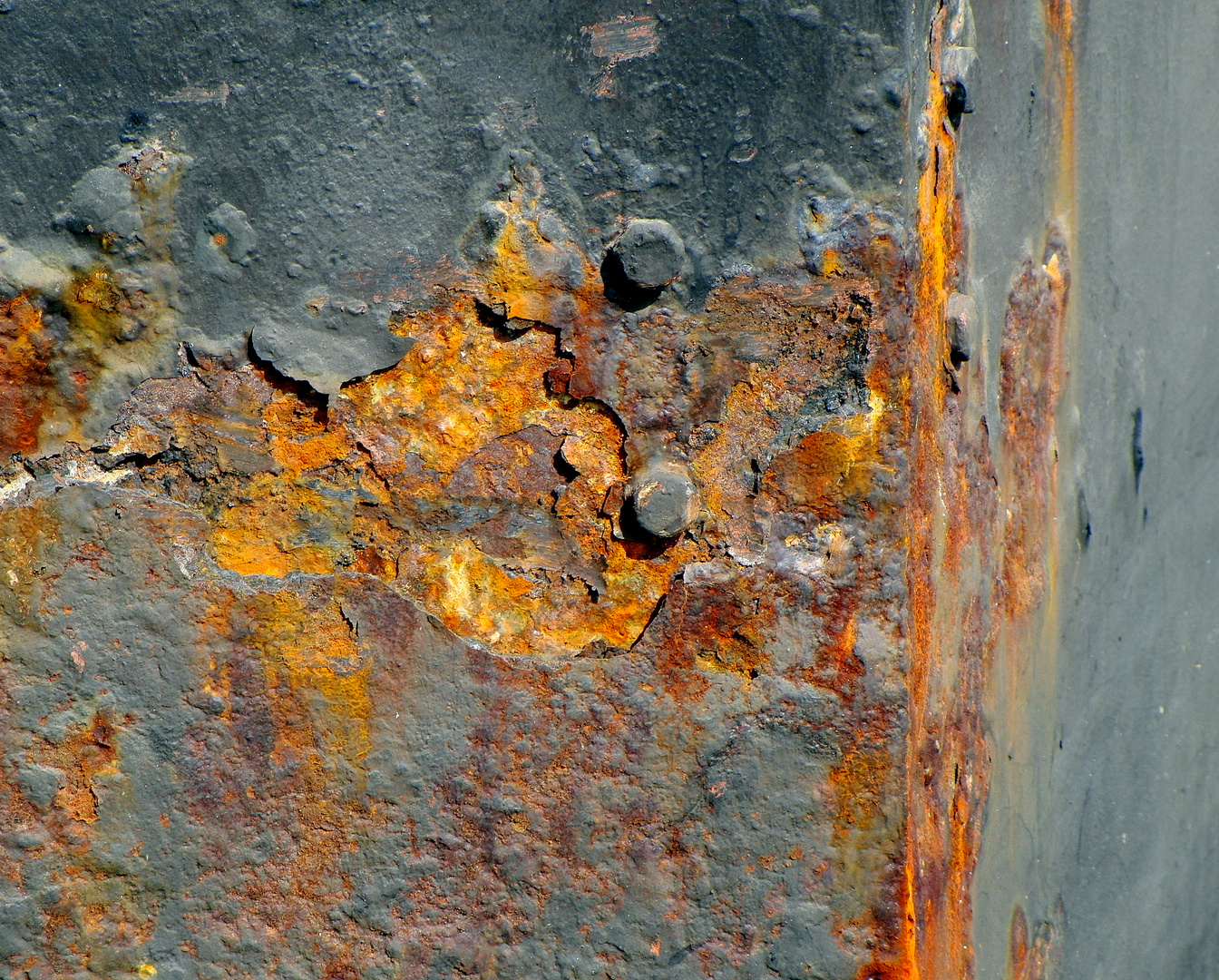 Rost