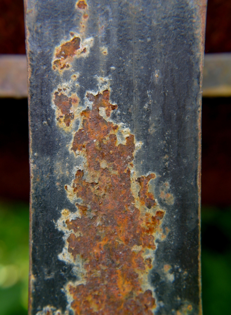 Rost