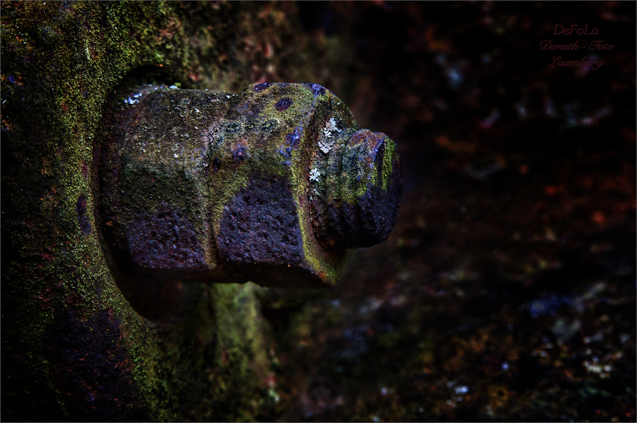 Rost (4)