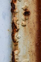 Rost