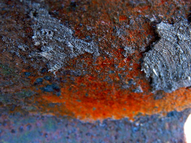 rost