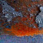 rost