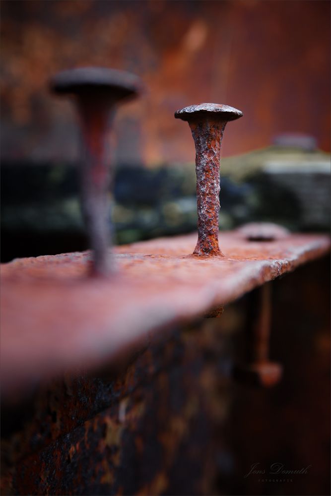 Rost (7)