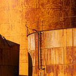 Rost