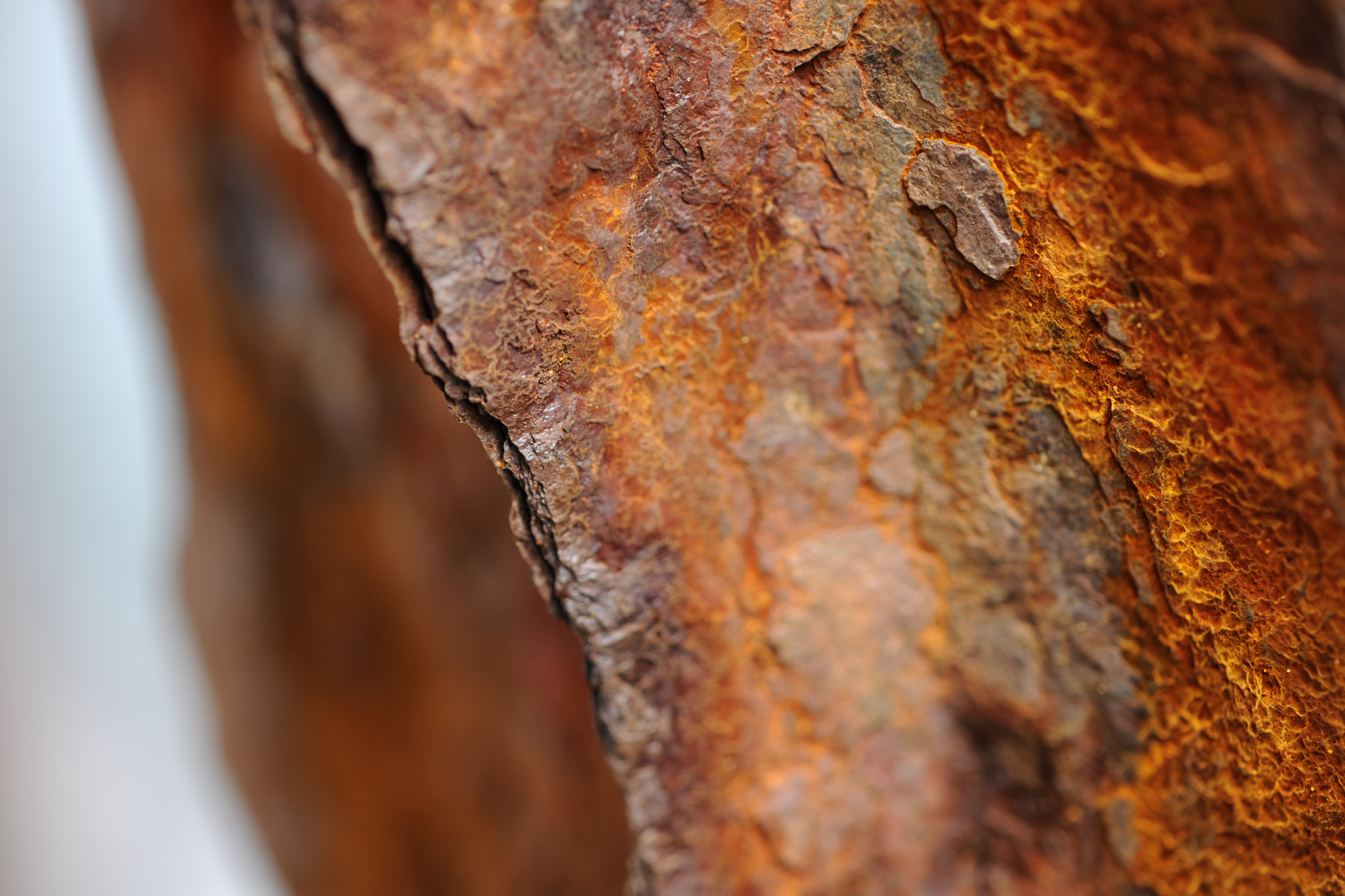 Rost auf Helgoland